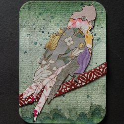 Galah