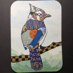 Bluejay