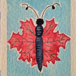 Maple Leaf Butterfly.jpg