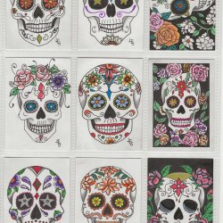 Sugar skulls
