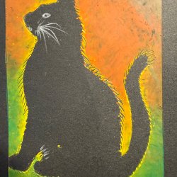 Black cat
