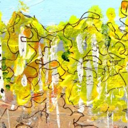 Aspens 5
