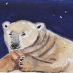 Polar Bear Resting