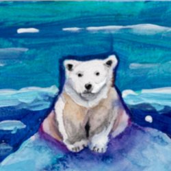 Polar bear on Ice