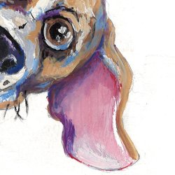 Hello, Beagle