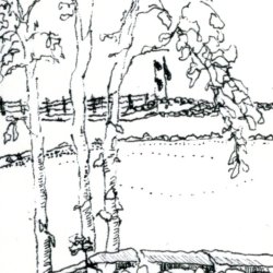 Looking Across Pond at Pine Run