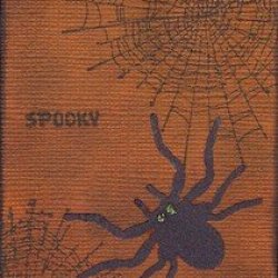 Spooky Spider