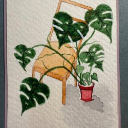 Monstera