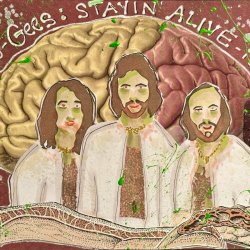 Boo-Gees "Stayin Alive-ish" Postcard