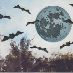 Bats ATC - 2 available