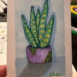 plant.jpg