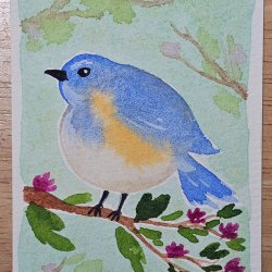 Warbler [Available]