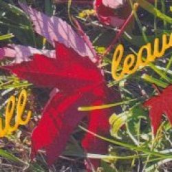 Fall Leaves ATC