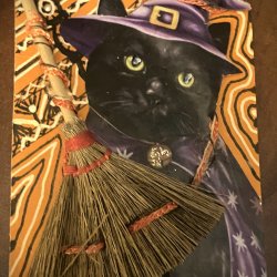 The Cat is a Witch.JPG