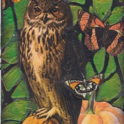 HCATHON 15 Owl.jpg