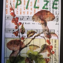 Mushrooms, September 2026, Mixed Media