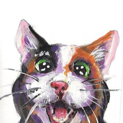 Hello, Calico