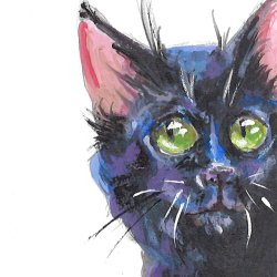 Hello, Black Cat