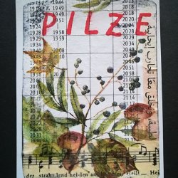 Mushrooms, Sept 2026, Mixed Media