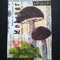Mushrooms, Oktober 2026, Mixed media