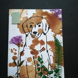Dog, Oktober 2026, Mixed Media