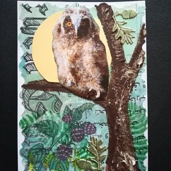 Owl, Oktober 2026, Mixed Media