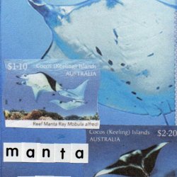 Animal parade - M, N, O 1/4