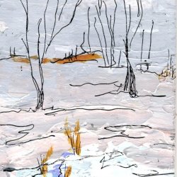 Winter Forest 10