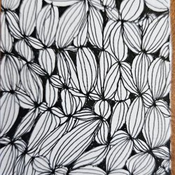 Black and White 1 2025