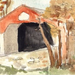 Pine Valley Covered Bridge in Fall #1