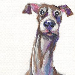 Hello, Greyhound