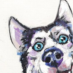 Hello, Husky