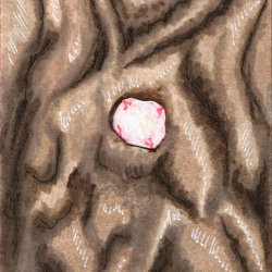 The Cave