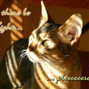 Let There Be Light ... pleeeeease???