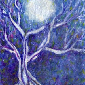 Moonlight Tree