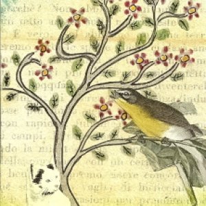 Cat, Bird & Tree