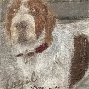 My Best Friend