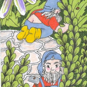 June: Gnomes