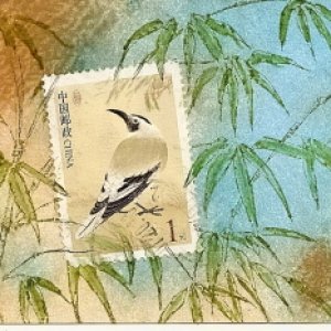 Oriental Bird