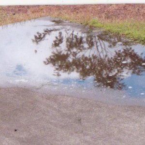 Water Water Everywhere Photo Swap