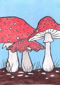 10th Color Cube Mushrooms.jpg