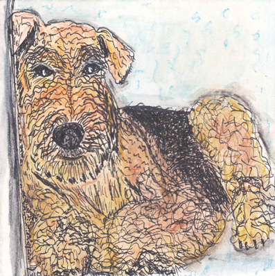 #11 - Airedale Terrier - Dog Breed Project
