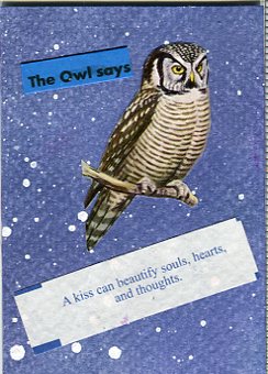 1162 Hawk Owl