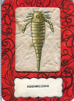 #1194  Hughmilleria  Speciman Card #2