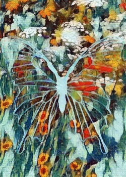 1st Place Winner!  April 2018