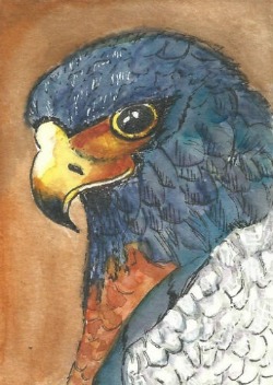 1st Place Winner!  May 2018