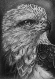 1st Place Winner!  Nov-Dec 2017