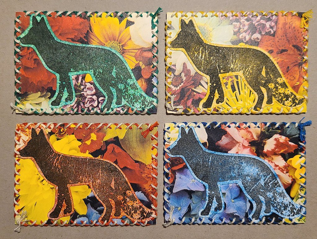 20-0530-atc-foxy_49957905558_l.jpg