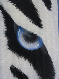 2013 May Contest WINNERS -- Theme: Black & White with a POP