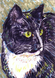 2016 August Monthly Contest 2nd Place